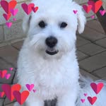 Julie Killian - @crazy_lady53 - Instagram