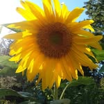 Julie Killian-Rich - @juliekillianrich - Instagram