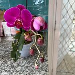 Julie Kimble - @julie2023k - Instagram