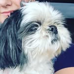 Julie Klinger - @julie_klinger1 - Instagram