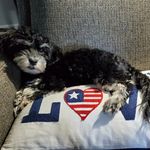 Julie Kohn - @jkohn67 - Instagram