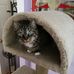 Julie Kohn - Facebook