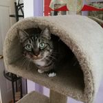 Julie Kohn - @julie.kohn.9 - Instagram