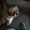 juliekohn - @lovemädchen - TikTok