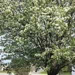 Julie Koster - @koster_julie - Instagram