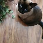 Julie Koster - Facebook