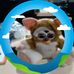 Julie Kovach - Facebook