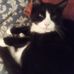 Julie Kovach - Facebook