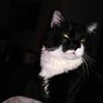 Julie Kovach - @juliekovach123 - Instagram