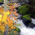 Julie Roberts Kovach - @juliekov10 - Instagram