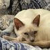 Julie Linkous Kuck - Facebook