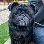 Julie Kyle - @davidakyle1 - Instagram