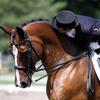 JulieLaForgedressage - @julielaforgedressage - TikTok
