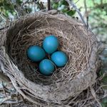 Julie Lakin - @jbug_66 - Instagram