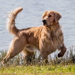 Julie Lakin - @julie.lakin.52 - Instagram