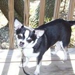 Julie Lamar - @jlamar1884 - Instagram