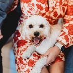 Julie Larocque - @julie.larocque.144 - Instagram