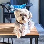 Julie Latimer - @jalatimer - Instagram