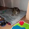 Julie Leclair - @julie.leclair7 - TikTok