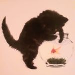 Julie Lees - @julie.lees.129 - Instagram