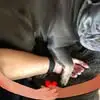 Julie Lees - @julie.lees3 - TikTok