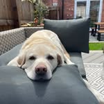 Julie Lees - @julielees12 - Instagram