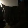 julieleith7 - @julieleith7 - TikTok