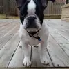 julieleneave943 - @julieleneave943 - TikTok
