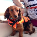 Julie Loftus - @lofty1968 - Instagram