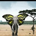 Julie MacArthur - @julie.macarthur.98 - Instagram