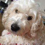 Julie MacLeod - @julie.macleod.90 - Instagram