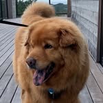 Julie Magner - @jdm05007 - Instagram