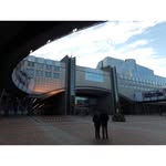 Julie Maher - @lighcountwigrealspost656 - Instagram