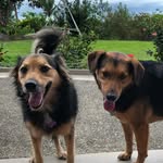 Ruby & Julie & Marble - @rubyjuliemarblezone - Instagram