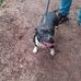 Julie Marchant - Facebook