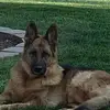 Julie Markowski - @juliemarkowski53 - TikTok
