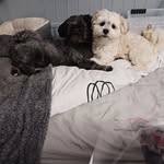 Julie Marriott - @marriott8621 - Instagram