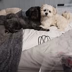 Julie Marriott - Facebook