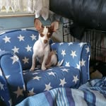 Julie Marriott - @julie.marriott.773 - Instagram