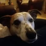Julie Marriott - @julie.marriott.1044 - Instagram