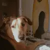 Marvel._and_.Julie45 - @marvel._and_.julie45 - TikTok