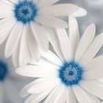 Julie Bowers Matney - @bowersmatney - Instagram