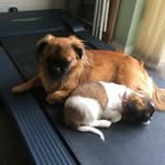 Julie Matthews - @julie.matthews853 - Instagram