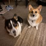 Julie McCurdy - @wyomamaw88 - Instagram