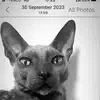 Julie A McDevitt - @julie.a.mcdevitt - TikTok
