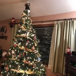 Julie Mcqueen - @julie.mcqueen.73 - Instagram