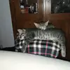 juliemcqueen - @juliemcqueen - TikTok