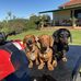 Julie McRae - Facebook