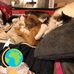 Julie Mcrae - Facebook