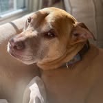 Julie Segel Mendelson - @mendelsonj1111 - Instagram